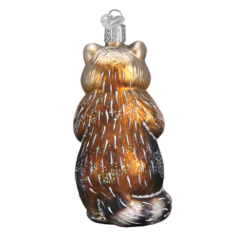 Raccoon Ornament-1