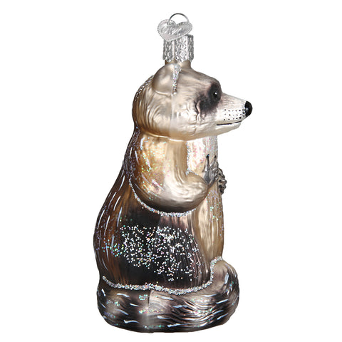 Raccoon Ornament-4